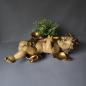 Preview: Barock Engel mit Saxophon - 40cm