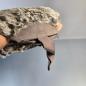 Preview: Handtasche mit intergriertem Pelzmuff