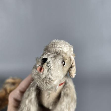 Zwei Hunde - Stofftiere Steiff 50er Jahre - Dackel und Pudel