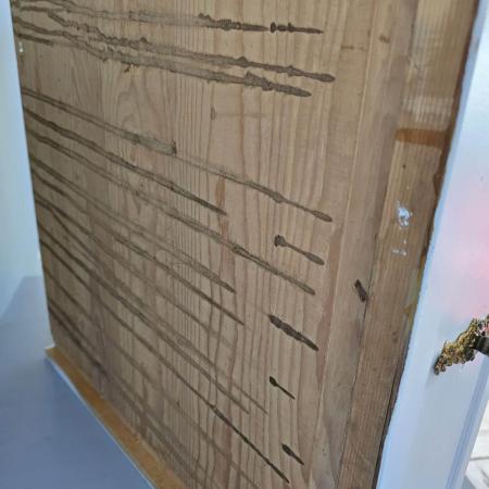 Weiße Vintage Schublade aus Weichholz, mit Messinggriff, Gründerzeit