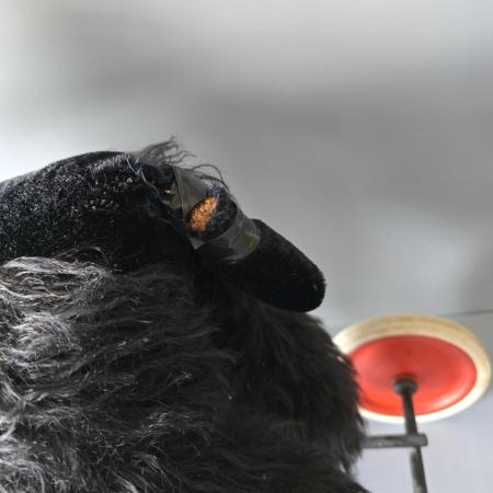 Preview: Vintage Steiff Hund auf Rädern - Reittier Hund